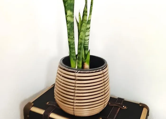 Casa Gotinha D' Agua Vakantiehuis *